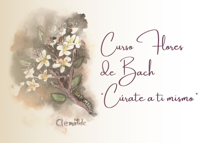 Curso Flores de Bach