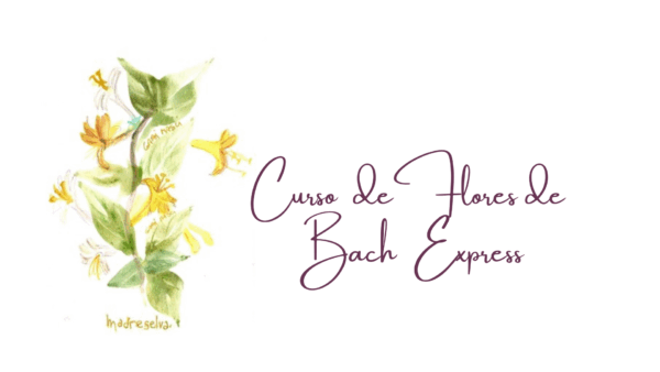 Curso de Flores de Bach Express