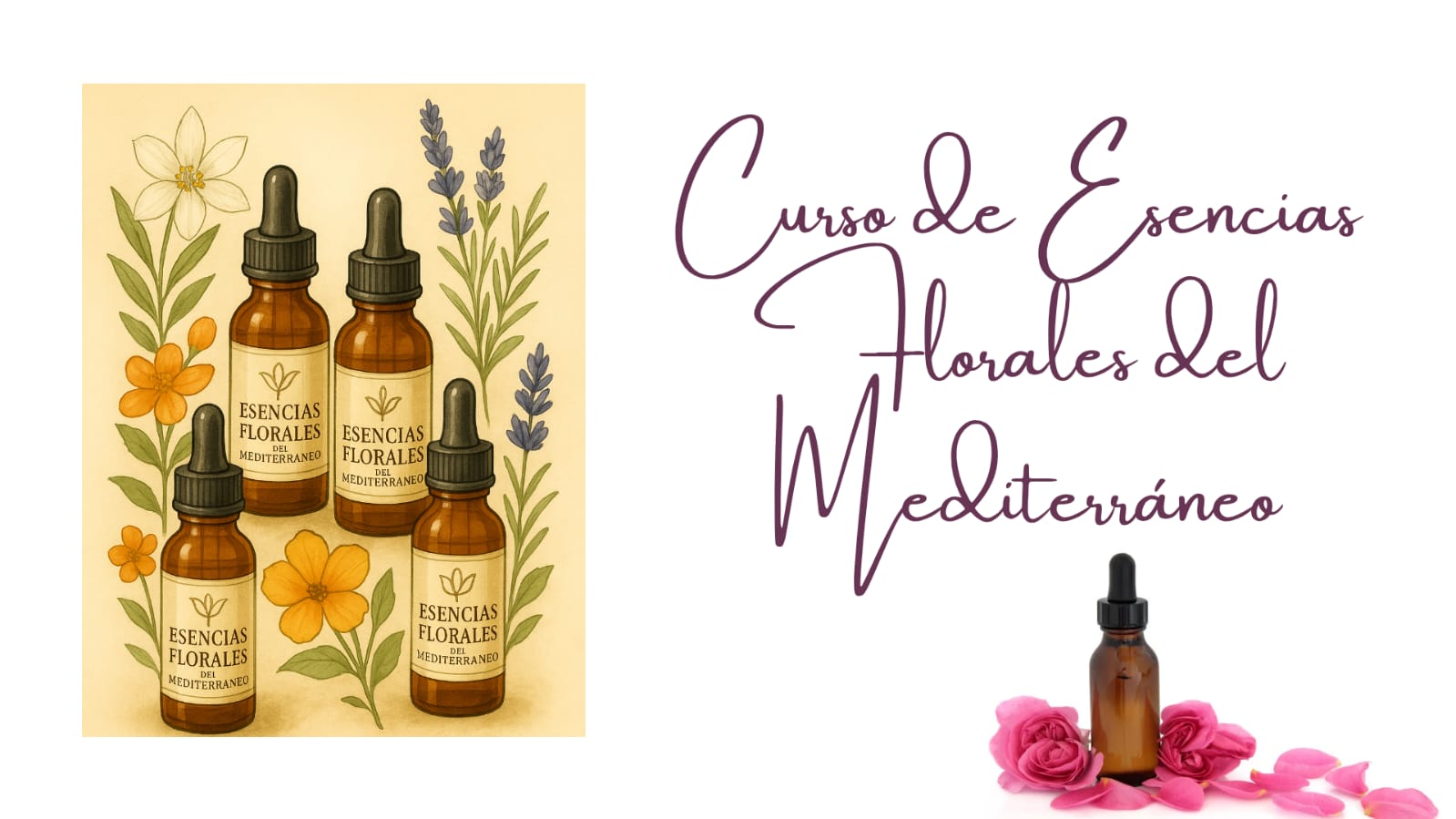 Curso Flores del Mediterráneo