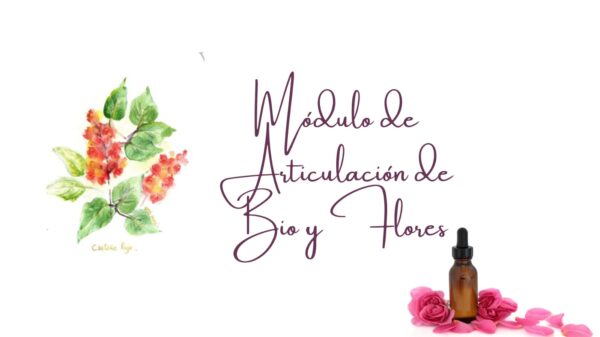 Módulo de Articulación Bio y Flores